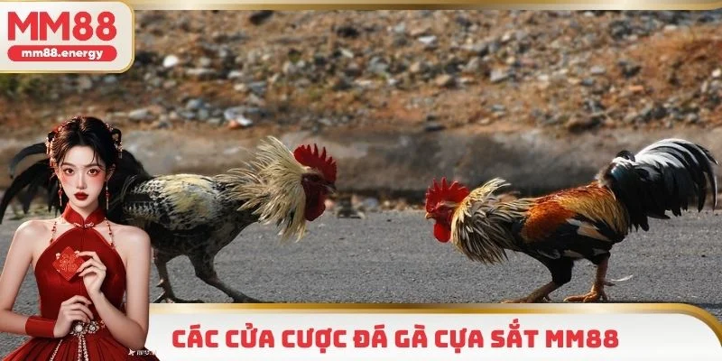 3 cửa cược cho khách hàng tham gia ở cựa sắt