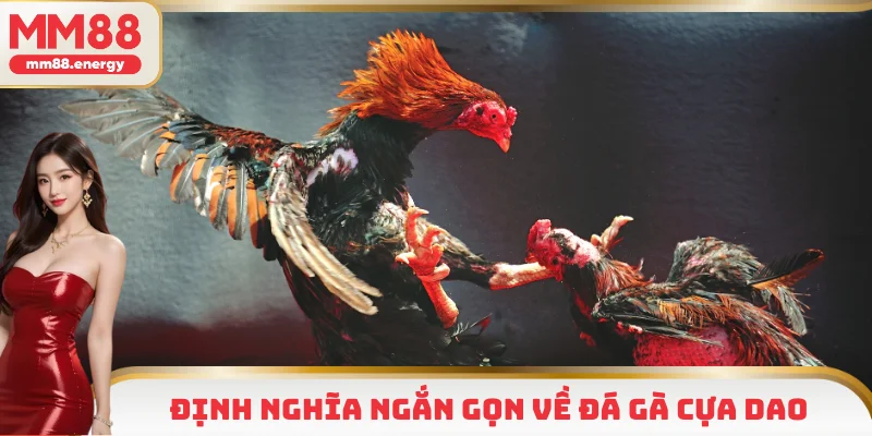 Định nghĩa ngắn gọn về đá gà cựa dao