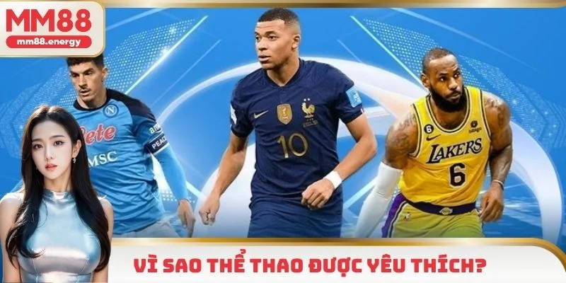 Lý do sảnh thể thao được yêu thích hàng đầu