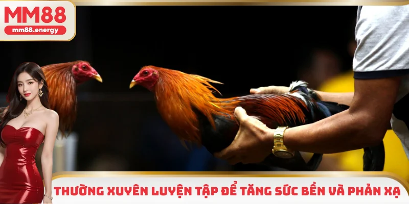 Thường xuyên luyện tập để tăng sức bền và phản xạ