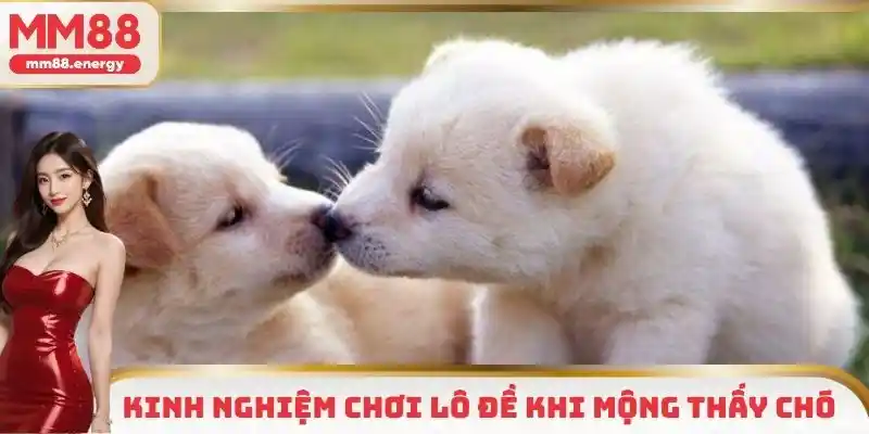 Tổng hợp kinh nghiệm cá cược lô đề khi có giấc mộng thấy chó